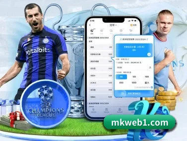 mk体育 APP