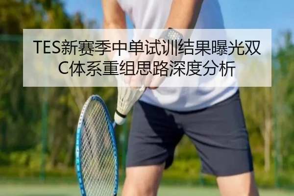 TES新赛季中单试训结果曝光双C体系重组思路深度分析