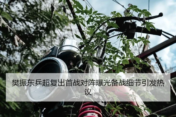 img_1787662676577_140_0_930.jpg